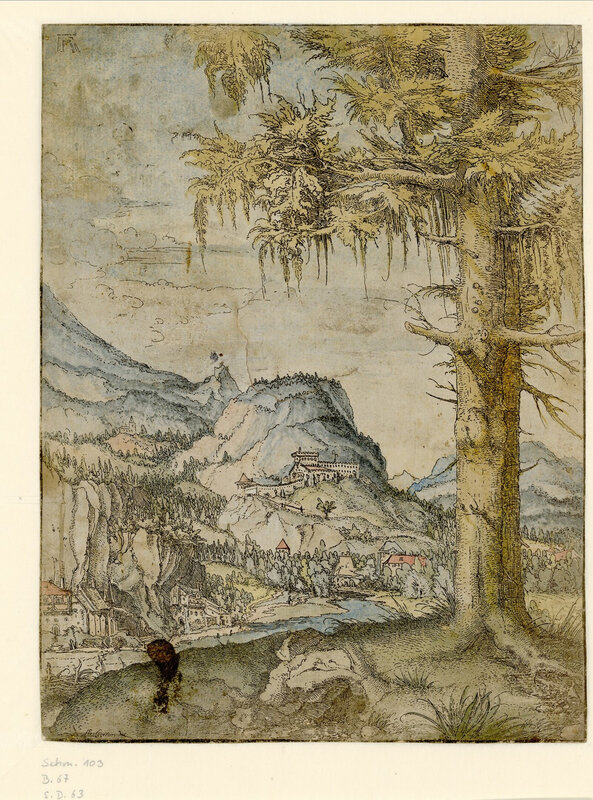 1-albrecht-altdorfer-paysage-au-grand-epicea-vers-1517-1520-c-the-albertina-museum-vienna-albrecht-altdorfer-louvre-1600x0