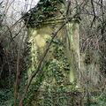 cimetière abandonné 