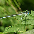P1020524