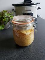 cathytutu choucroute mijoteuse crockpot fermentation maison naturel facile (3)