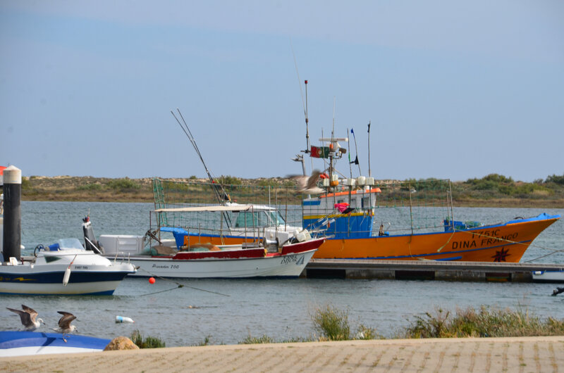 DSC_5244
