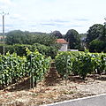 88 - 2012 - 07- fabuleux préambule des funambules en champagne