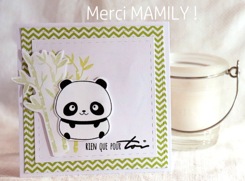 MAMILY - C&S TS - AVC - LS