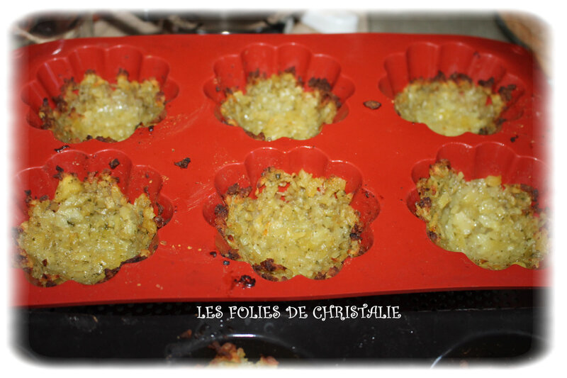 Nids caille 4