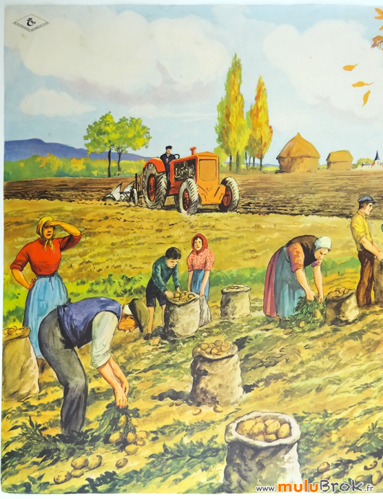 Affiche-Rossignol-TRAVAUX-AUTOMNE-3-muluBrok-Vintage