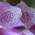 P1240941