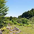 Le plateau du Cournau