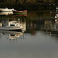 DSC05968