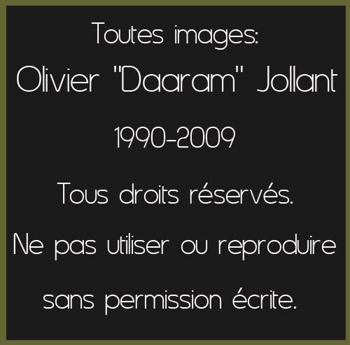 Olivier Daaram_Copyrights_2009