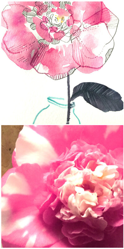 collagecamelia