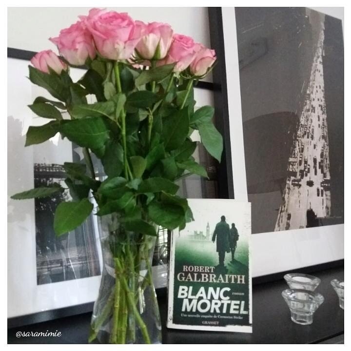 Blanc Mortel de Robert Galbraith - Le petit monde ...