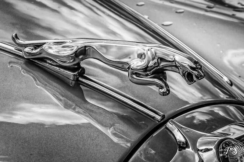 _MG_8951-Modifier