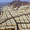 Village de toile Minas en Arabie Saoudite