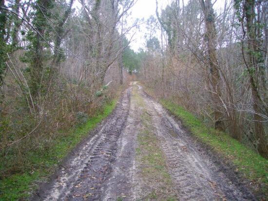 Photo-chemin-ancienne-voie-ferrée-entre-Escource-et-Jouanicot