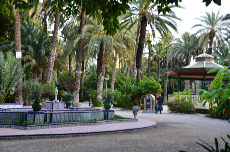 DSC_0726