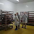IMGP3293