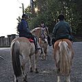 La Balade du Jambon - Balade à cheval dans le mortainais (14)