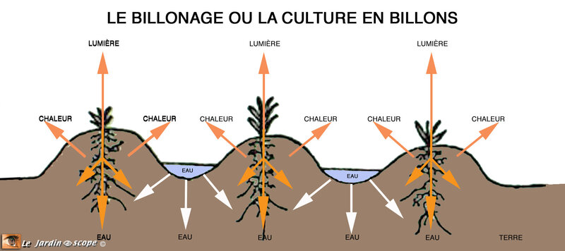 Le-Billonage