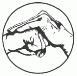 Saluto02