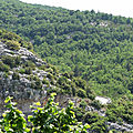 P1020806 (2)