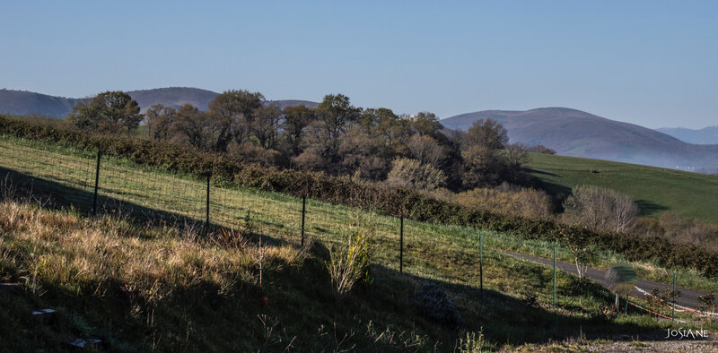 21032019-_MG_5042