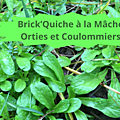 17 DOUCETTE(3)BrickQuiche Mâche, Orties et coulommiers