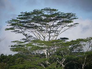 P1010448