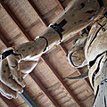 Halle de la machine