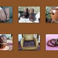 La couleur chocolat 