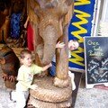Les enfants et le gros éléphant
