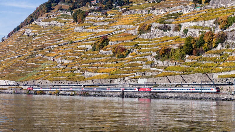 compagnies ferroviaires suisse anti aging)