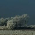 _IGP6480