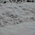 15 à 20 cm de neige sur les hauteurs de Burgaronne...
