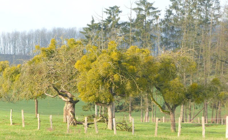 P1490591