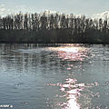 Reflet du soleil sur la Loire à Combleux en Janvier 2021