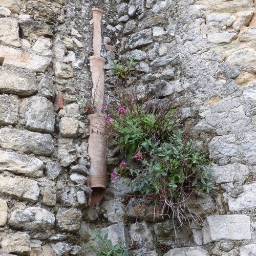 52 semaines en photos - mur