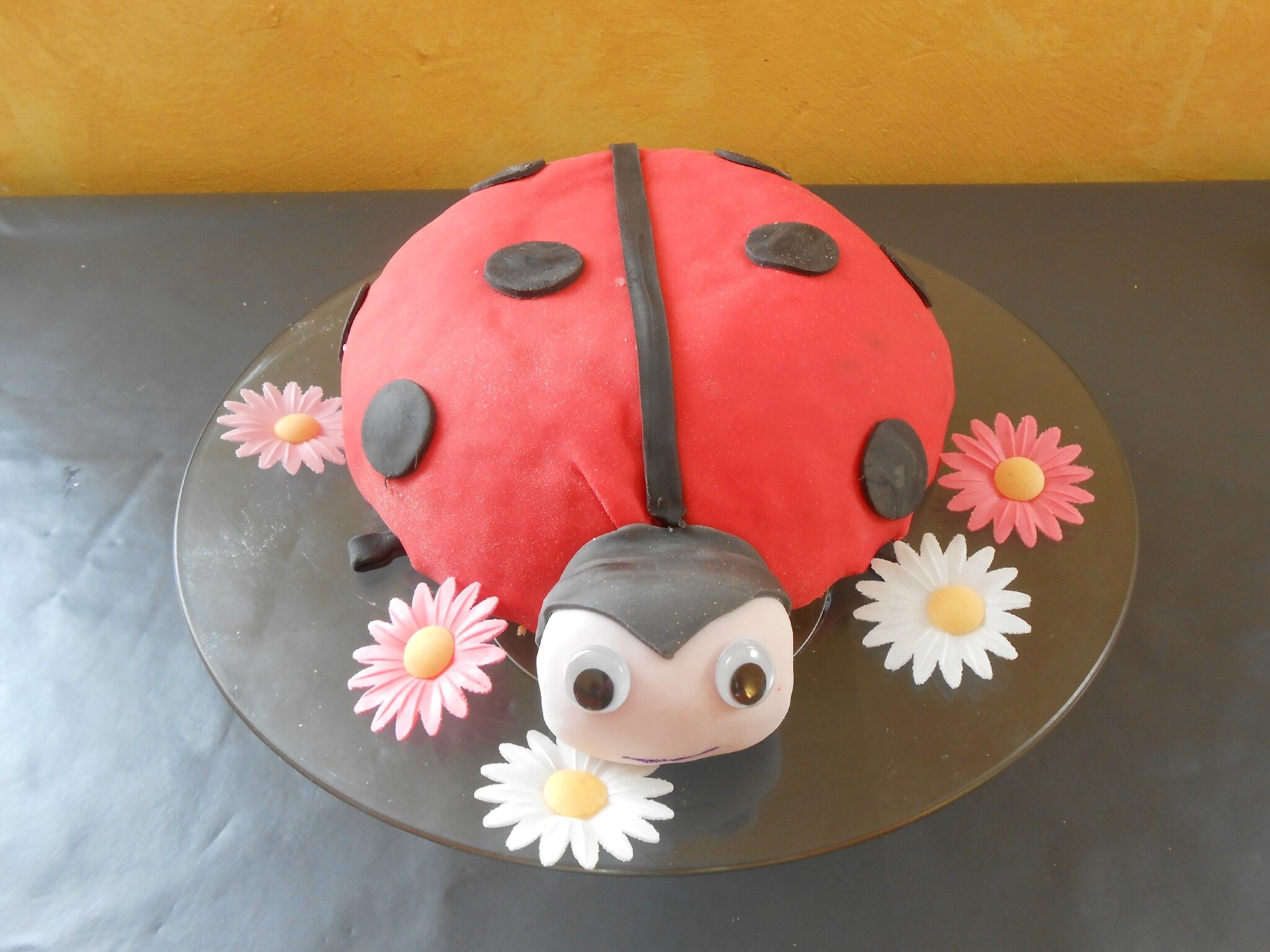 GATEAU COCCINELLE A LA GANACHE AU CHOCOLAT - DÉLICES DE DALY