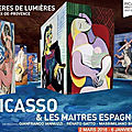 Les Carrières de Lumières : Picasso