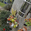 _DSC0051