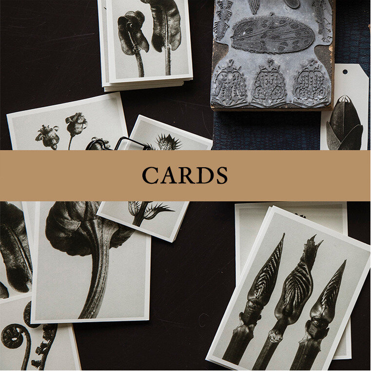 1530542690_Cards