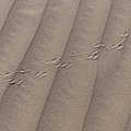 P1190777