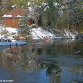 Le coin des flamants roses sous la neige