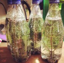 PRODUIT 22