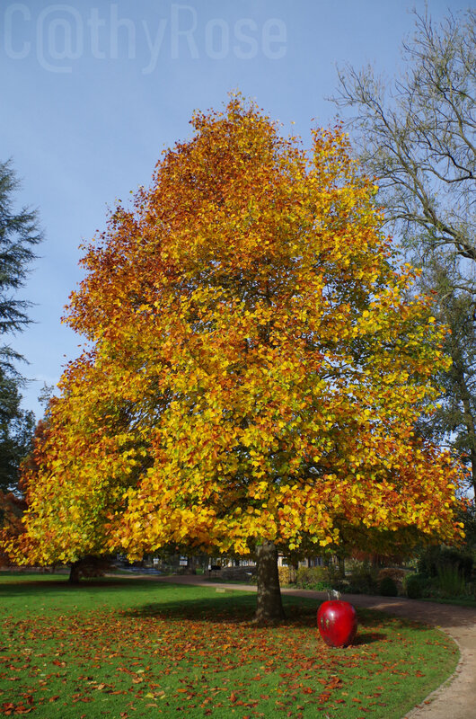 7-octobre automne