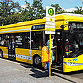 Berlin accélère sur les bus électriques