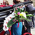 _IGP6590