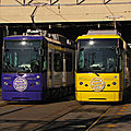 Toden 8800 (8807形 violet & 8810形 jaune)