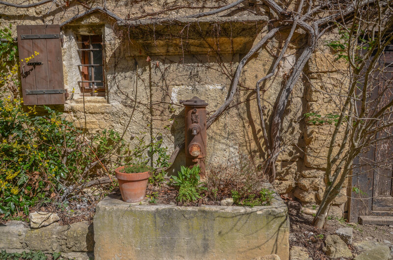 DSC_4325