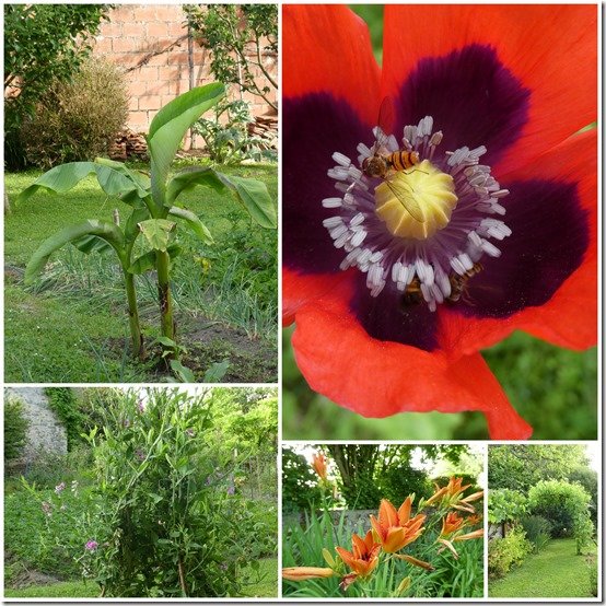 jardin 18 juin 20226