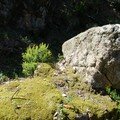 DSC00024